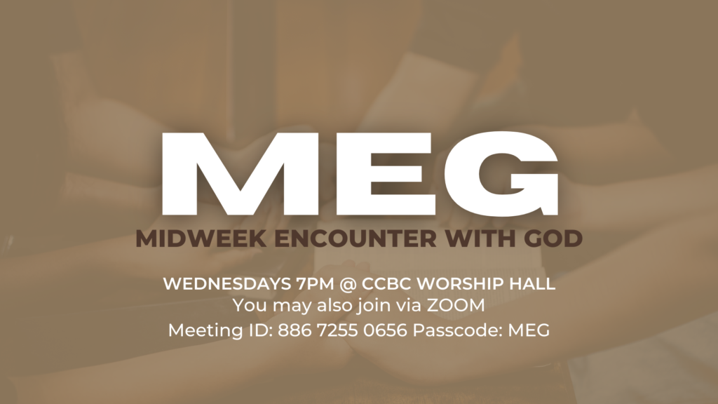 MEG