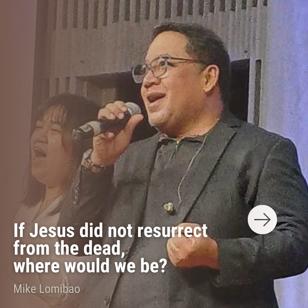Read more about the article From Broken to New