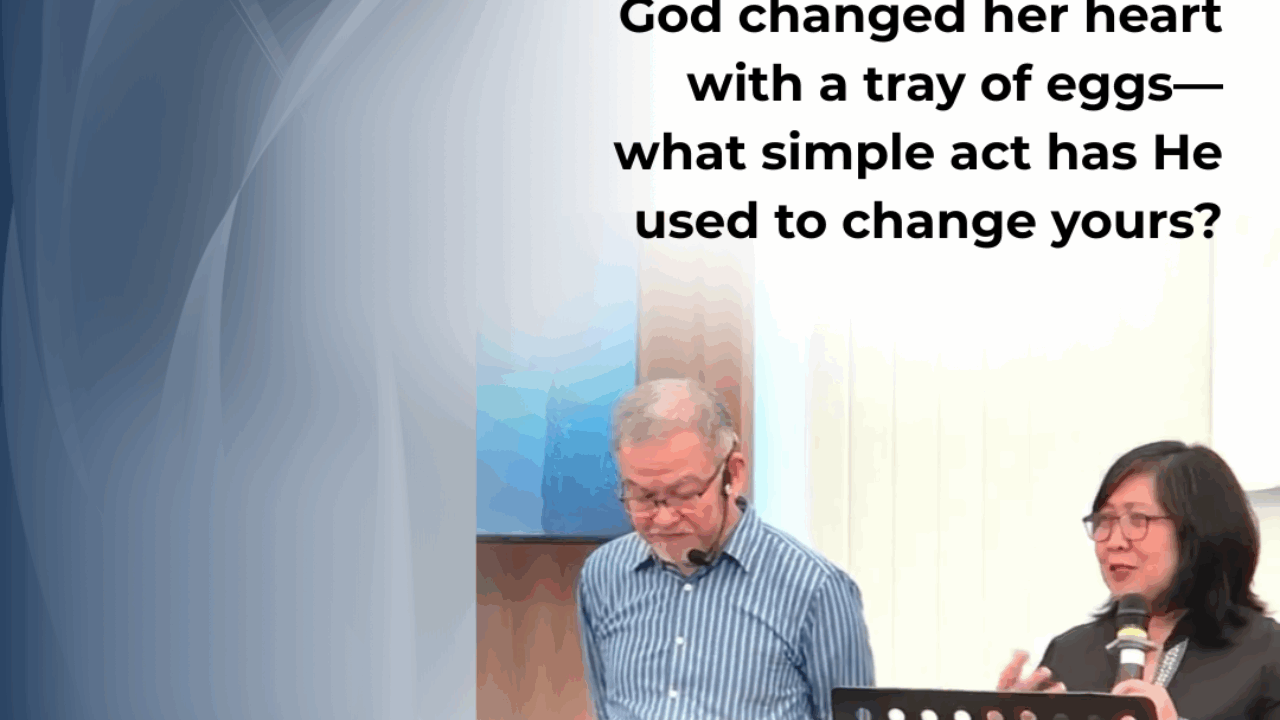 The Cost of Discipleship and a Tray of Eggs