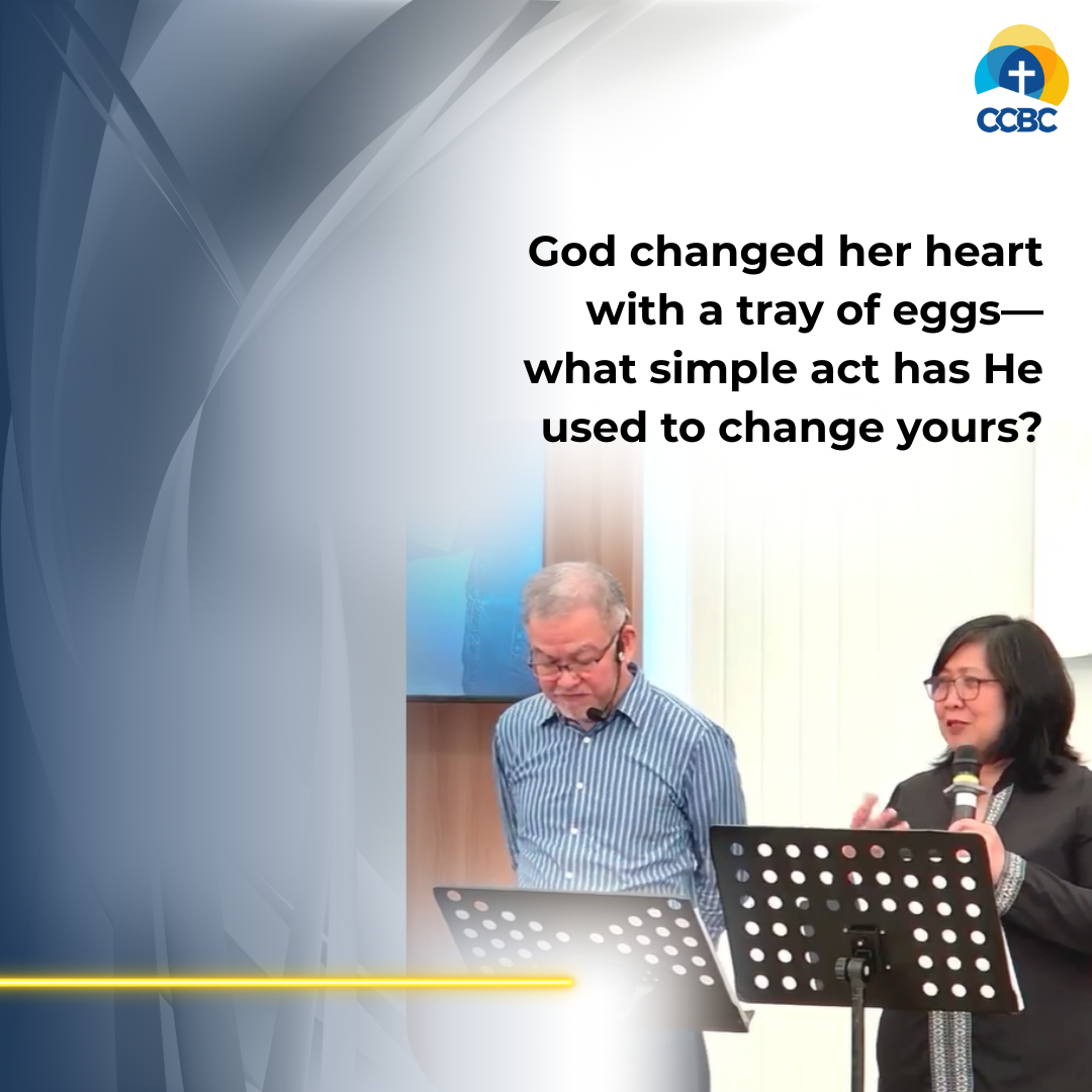 Read more about the article The Cost of Discipleship and a Tray of Eggs